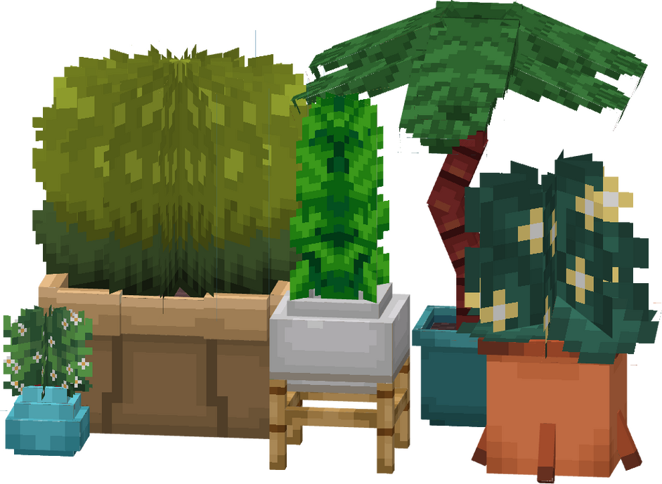 Plants
